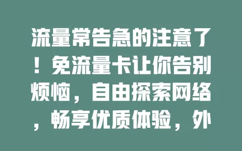 流量常告急的注意了！免流量卡让你告别烦恼，自由探索网络，畅享优质体验，外出网络也畅通