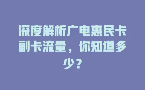 深度解析广电惠民卡副卡流量，你知道多少？