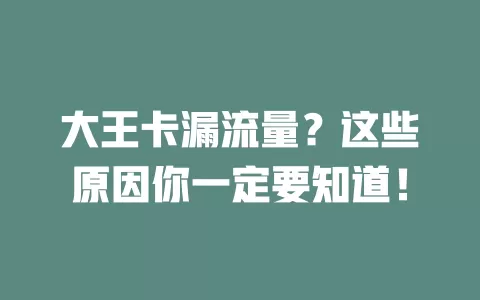 大王卡漏流量？这些原因你一定要知道！