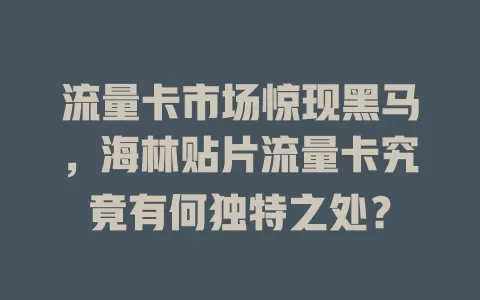流量卡市场惊现黑马，海林贴片流量卡究竟有何独特之处？