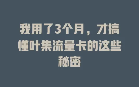我用了3个月，才搞懂叶集流量卡的这些秘密