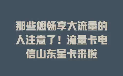 那些想畅享大流量的人注意了！流量卡电信山东星卡来啦
