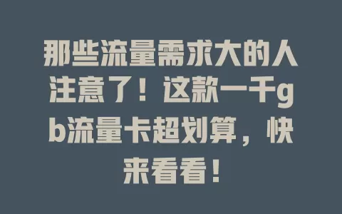 那些流量需求大的人注意了！这款一千gb流量卡超划算，快来看看！
