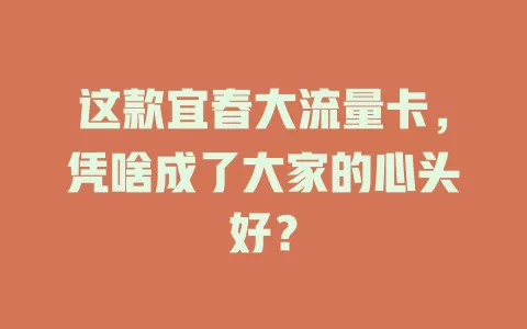 这款宜春大流量卡，凭啥成了大家的心头好？