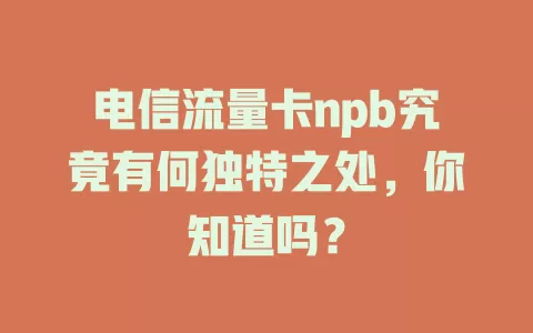 电信流量卡npb究竟有何独特之处，你知道吗？