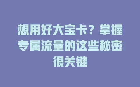 想用好大宝卡？掌握专属流量的这些秘密很关键