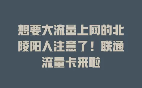 想要大流量上网的北陵阳人注意了！联通流量卡来啦
