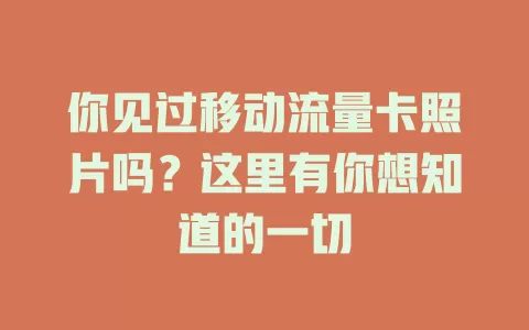 你见过移动流量卡照片吗？这里有你想知道的一切