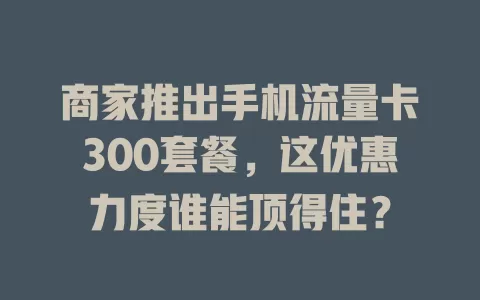 商家推出手机流量卡300套餐，这优惠力度谁能顶得住？
