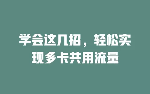 学会这几招，轻松实现多卡共用流量