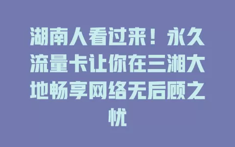 湖南人看过来！永久流量卡让你在三湘大地畅享网络无后顾之忧