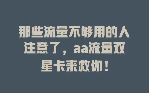 那些流量不够用的人注意了，aa流量双星卡来救你！