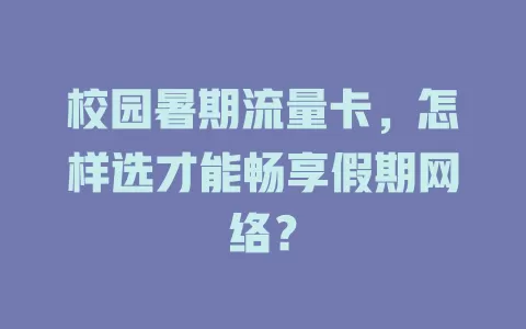 校园暑期流量卡，怎样选才能畅享假期网络？