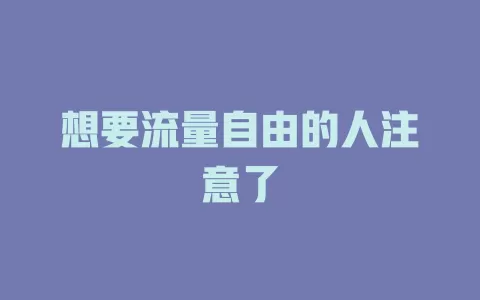 想要流量自由的人注意了