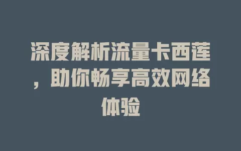 深度解析流量卡西莲，助你畅享高效网络体验