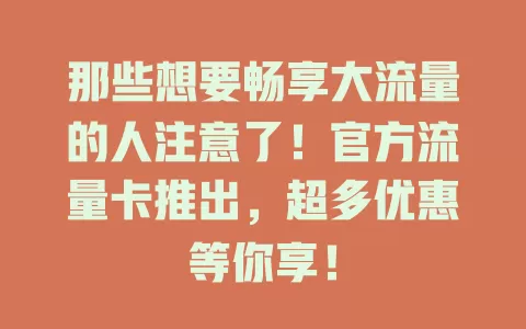 那些想要畅享大流量的人注意了！官方流量卡推出，超多优惠等你享！