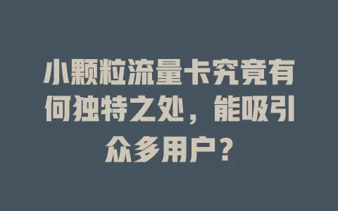 小颗粒流量卡究竟有何独特之处，能吸引众多用户？