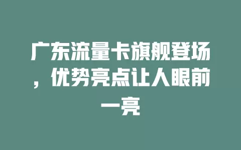 广东流量卡旗舰登场，优势亮点让人眼前一亮