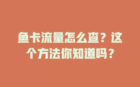 鱼卡流量怎么查？这个方法你知道吗？