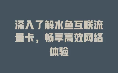 深入了解水鱼互联流量卡，畅享高效网络体验