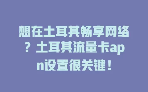 想在土耳其畅享网络？土耳其流量卡apn设置很关键！