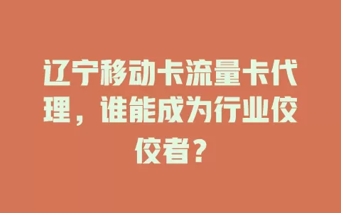 辽宁移动卡流量卡代理，谁能成为行业佼佼者？