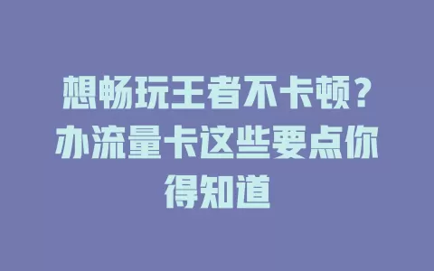 想畅玩王者不卡顿？办流量卡这些要点你得知道