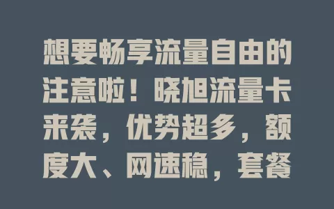 想要畅享流量自由的注意啦！晓旭流量卡来袭，优势超多，额度大、网速稳，套餐贴心，办理简便，助你告别流量愁，开启精彩网络生活