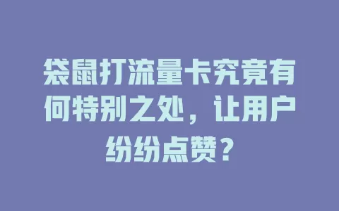 袋鼠打流量卡究竟有何特别之处，让用户纷纷点赞？