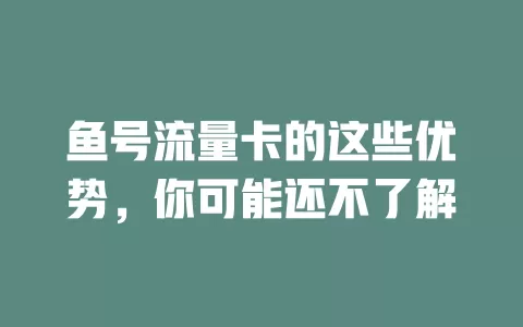 鱼号流量卡的这些优势，你可能还不了解