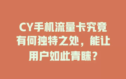 CY手机流量卡究竟有何独特之处，能让用户如此青睐？
