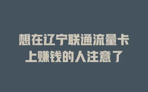 想在辽宁联通流量卡上赚钱的人注意了