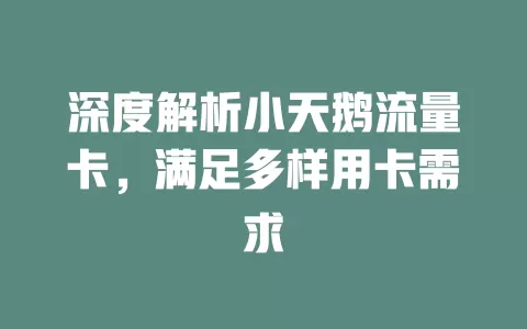 深度解析小天鹅流量卡，满足多样用卡需求
