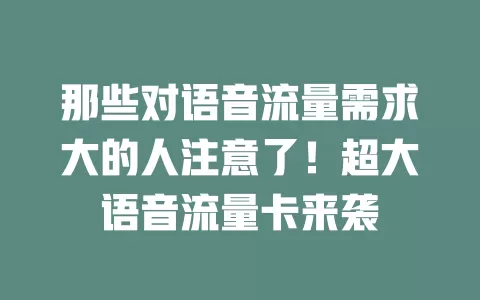 那些对语音流量需求大的人注意了！超大语音流量卡来袭