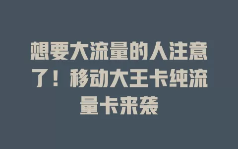 想要大流量的人注意了！移动大王卡纯流量卡来袭