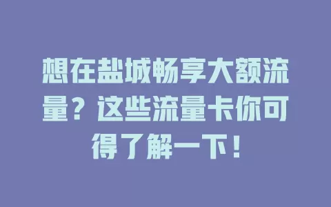 想在盐城畅享大额流量？这些流量卡你可得了解一下！