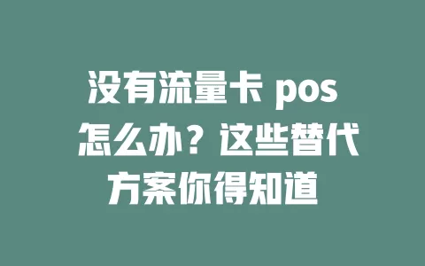 没有流量卡 pos 怎么办？这些替代方案你得知道