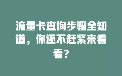 流量卡查询步骤全知道，你还不赶紧来看看？