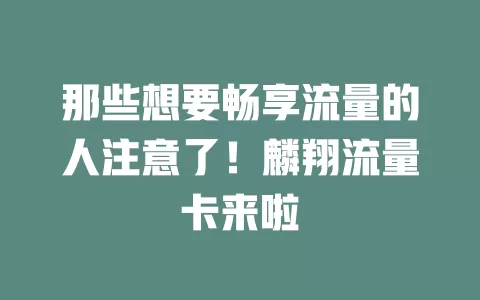 那些想要畅享流量的人注意了！麟翔流量卡来啦
