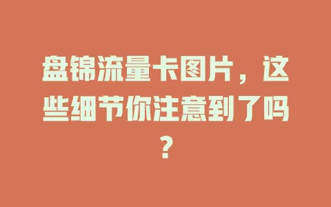 盘锦流量卡图片，这些细节你注意到了吗？