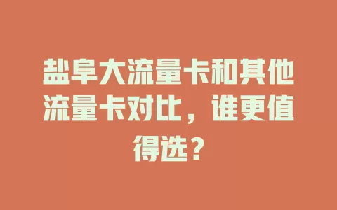 盐阜大流量卡和其他流量卡对比，谁更值得选？