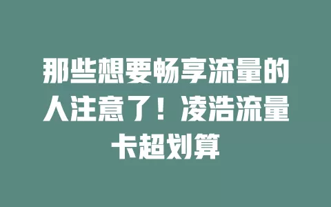 那些想要畅享流量的人注意了！凌浩流量卡超划算