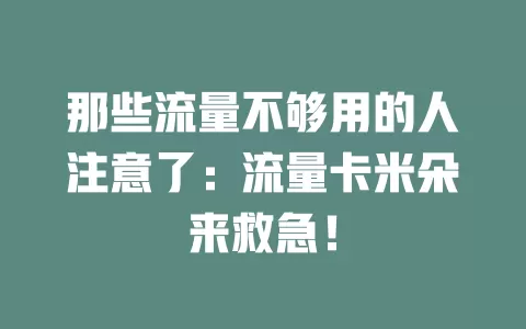 那些流量不够用的人注意了：流量卡米朵来救急！