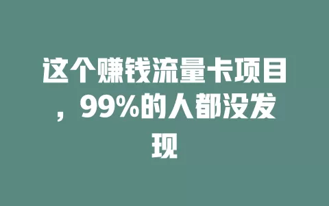 这个赚钱流量卡项目，99%的人都没发现