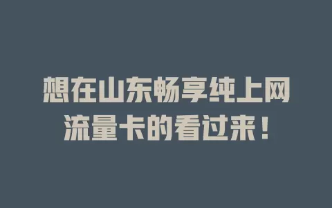 想在山东畅享纯上网流量卡的看过来！