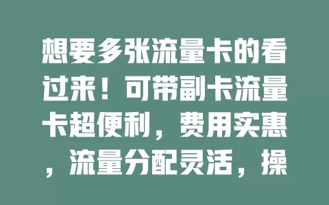 想要多张流量卡的看过来！可带副卡流量卡超便利，费用实惠，流量分配灵活，操作简单，家庭和商务人士都能受益