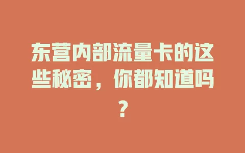 东营内部流量卡的这些秘密，你都知道吗？