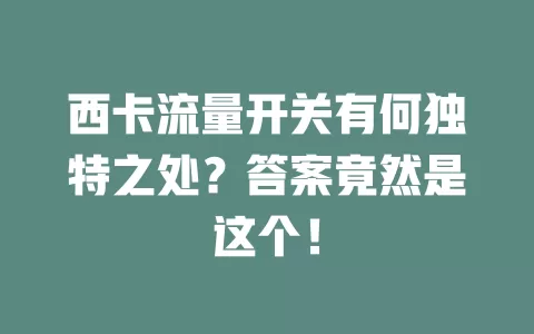 西卡流量开关有何独特之处？答案竟然是这个！