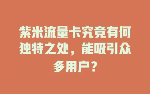 紫米流量卡究竟有何独特之处，能吸引众多用户？