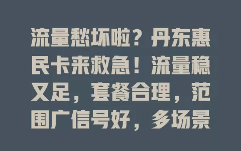 流量愁坏啦？丹东惠民卡来救急！流量稳又足，套餐合理，范围广信号好，多场景畅享网络超便利